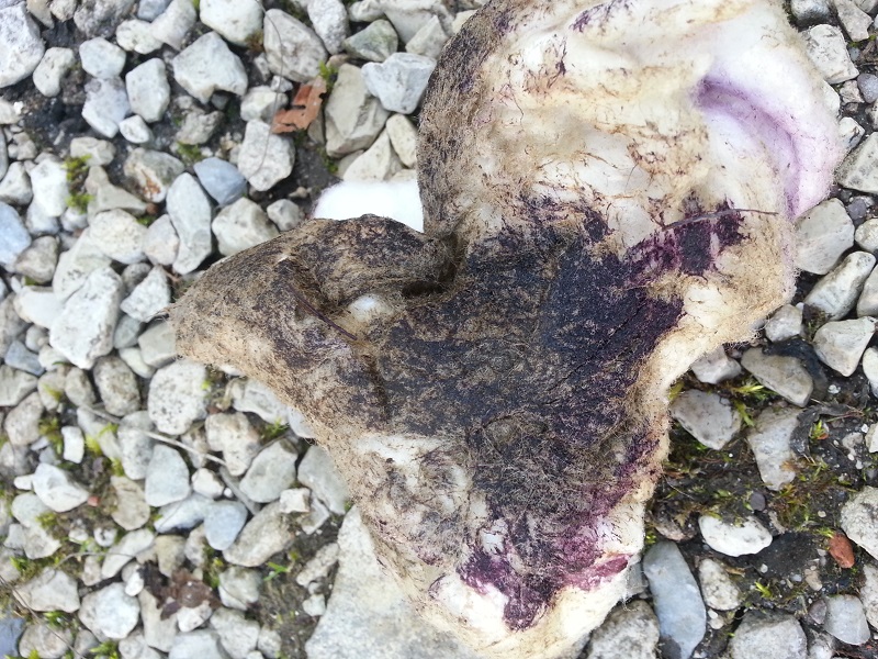 20140309_135517.jpg