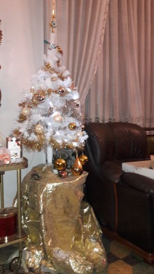 20161223_215048a.jpg