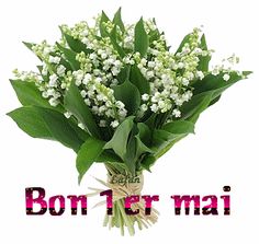 0bcc3cf70ad483d474ab79885f9529e5.jpg